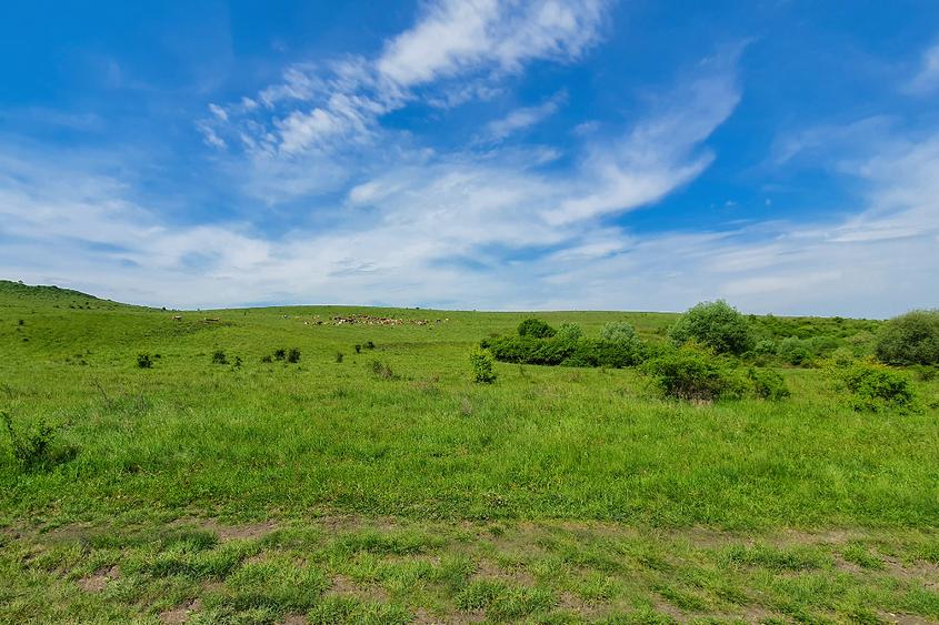 Teren extravilan ideal în satul Ciumăfaia, comuna Borșa, județul Cluj. - 2