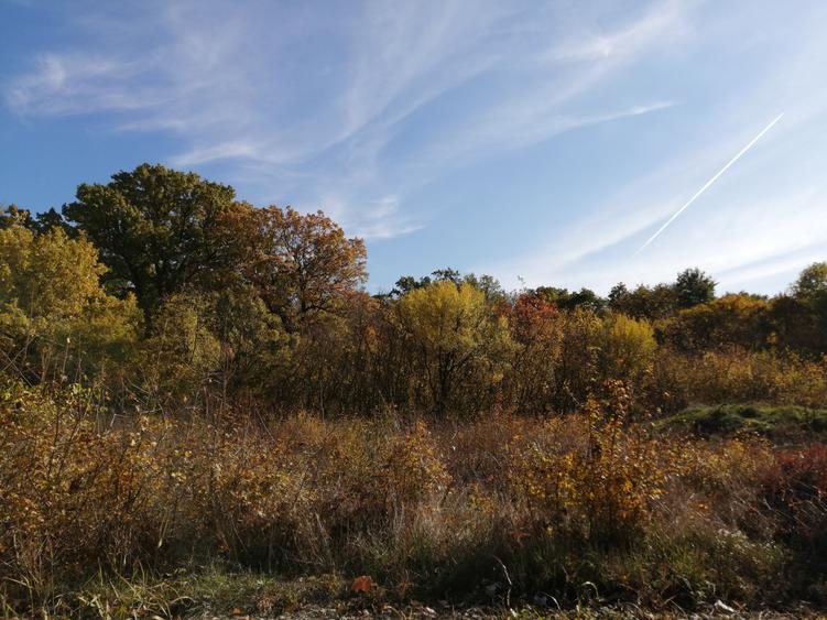 De vansare teren intravilan 600 mp pentru zona de agrement, Zona pădure -Jupiter - 1