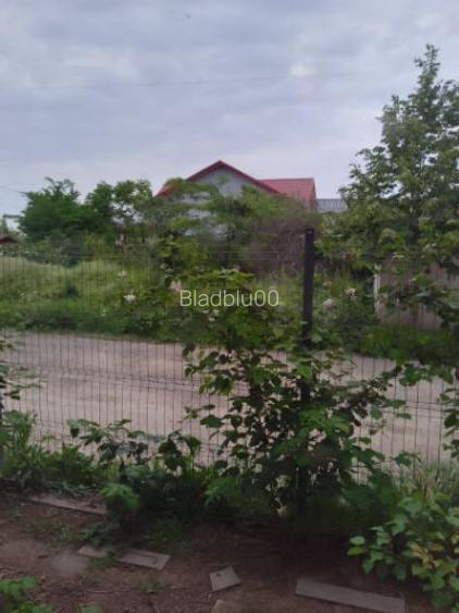 Vand loturi 500 mp Vand loturi 500 mp