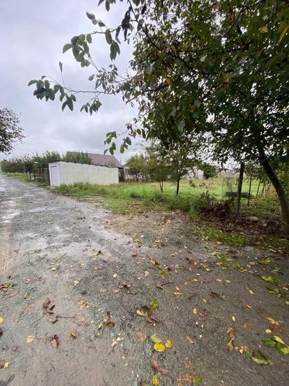 Teren intravilan Tuzla 665 mp aproape de plaja - 8