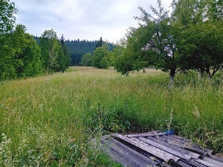 Casa Câmpulung Moldovenesc - 2