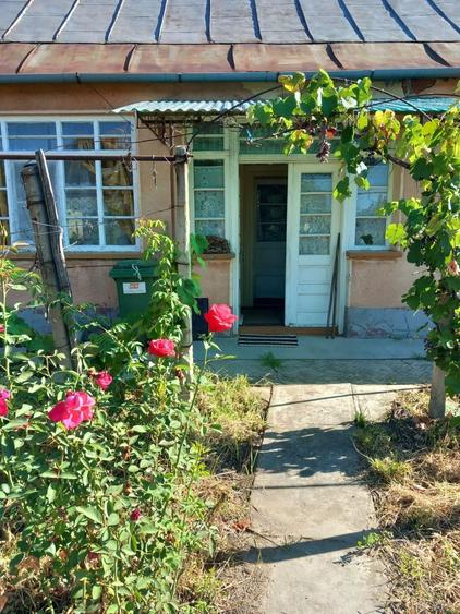 Casa de vanzare in Diosig - 1