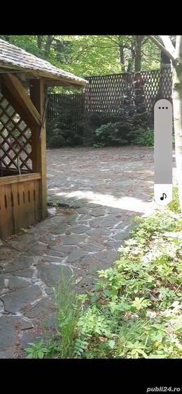 Casa 5 Camere Busteni si curte 500 MP cu Foisor. - 6