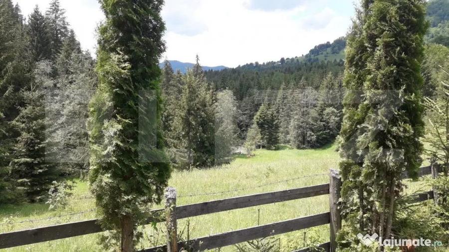 Casa de vacan?a in Piatra Fantanele + 4,5 arii teren - 13