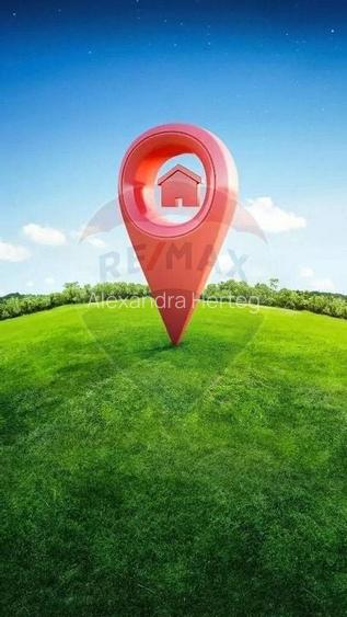 Teren extravilan cu iesire la drumul principal- Pecica, Arad