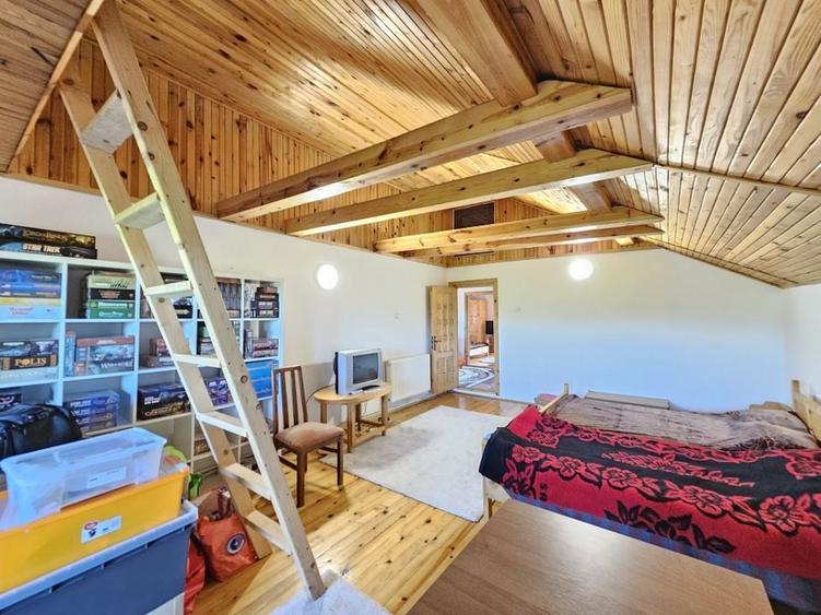 Vila superba de vanzare in Vintila Voda, Buzau D+P+1 si anexe - 31