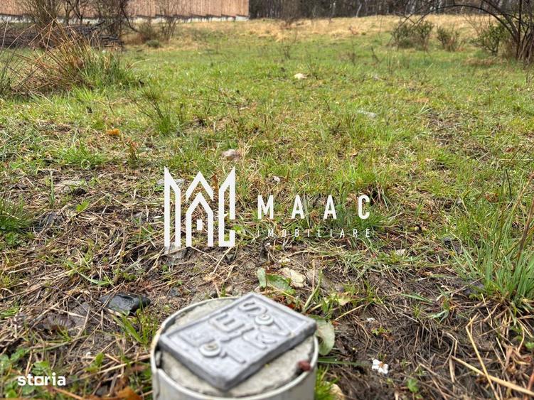 Teren Cisnadioara, 1000 mp, PUZ aprobat, utilitati - 7