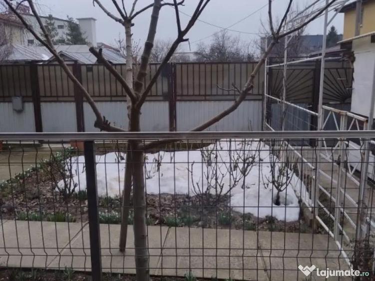 Aparatorii patriei parter la curte - 1