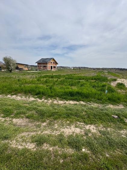 Loturi teren 400 mp Buftea - Darza - 2
