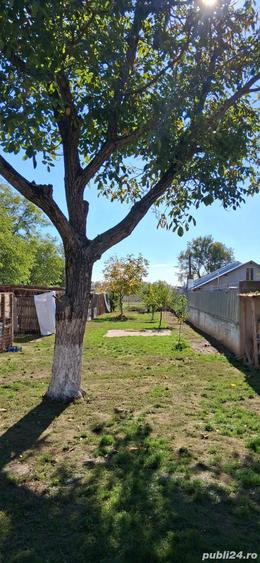 Casa+teren 1663mp - 5