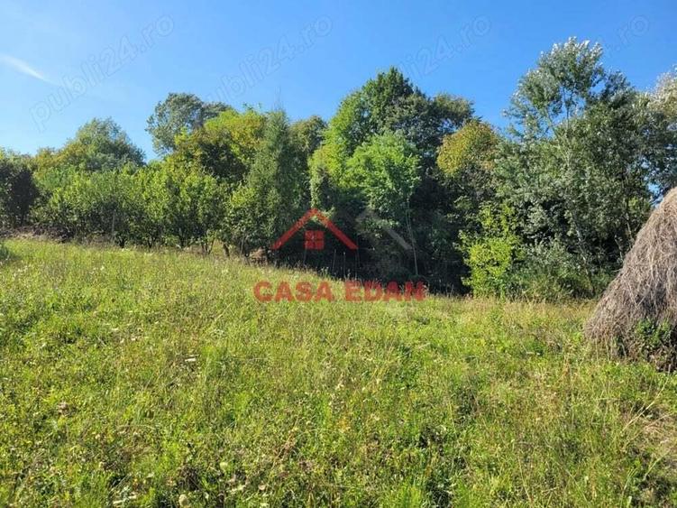 Teren intravilan in Poiana Campina 4285 mp parcelabil 11,6e - 11