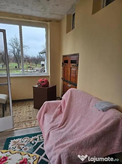 Casa plus anexa parter, Tamaseu central, gaz, sosea , ter 3040 mp - 10