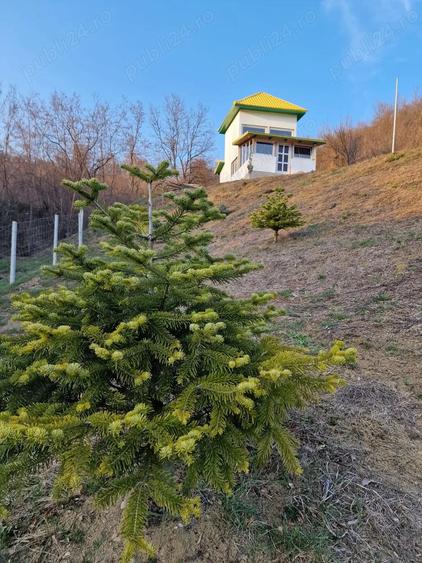 Casa de vacanta schimb - 2