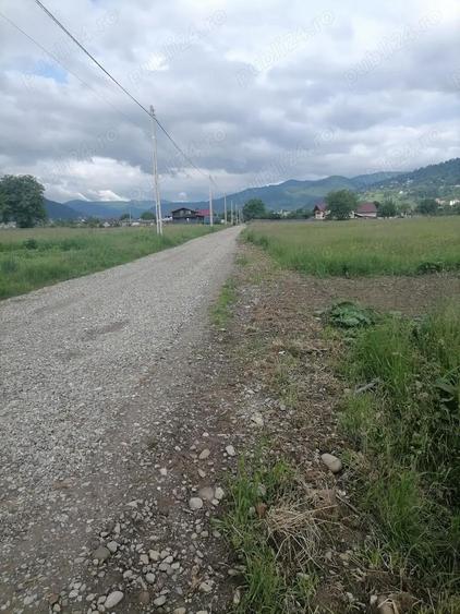 Teren 3000 mp intravilan Viisoara - 5