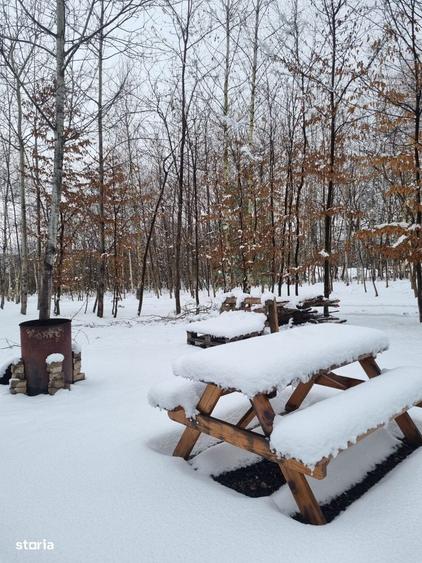 Teren extravilan 2200 mp, zona Calea Poplacii, la 5 min de Valea Aurie - 7