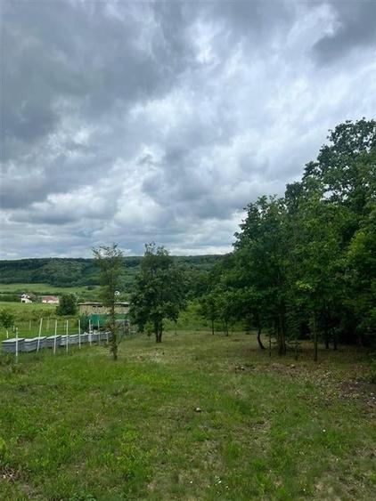 RECO teren de vanzare in zona Betfia - 4