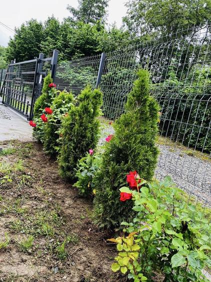 Vand Teren Valea Avrigului - 2