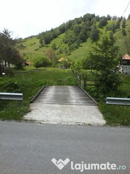 Casa si teren intravilan 6265 mp in zona Bran-Simon - 8