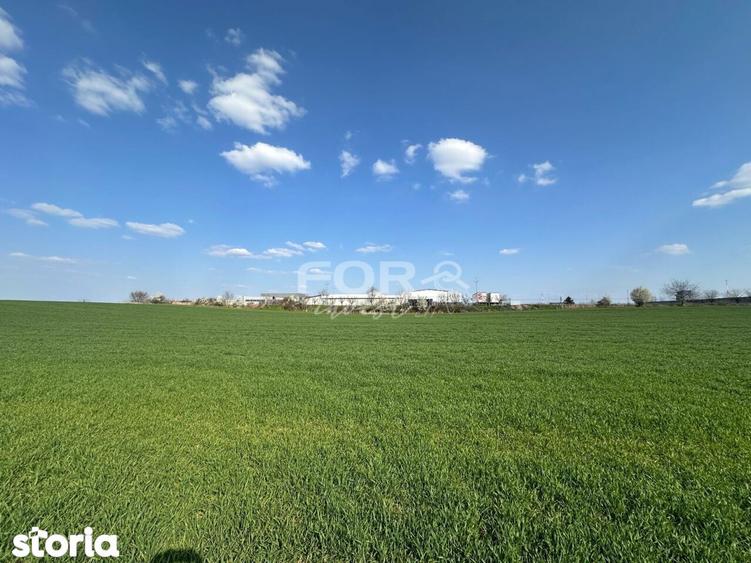 Teren intravilan de vanzare 1000 mp zona Aeroport Oradea - 5