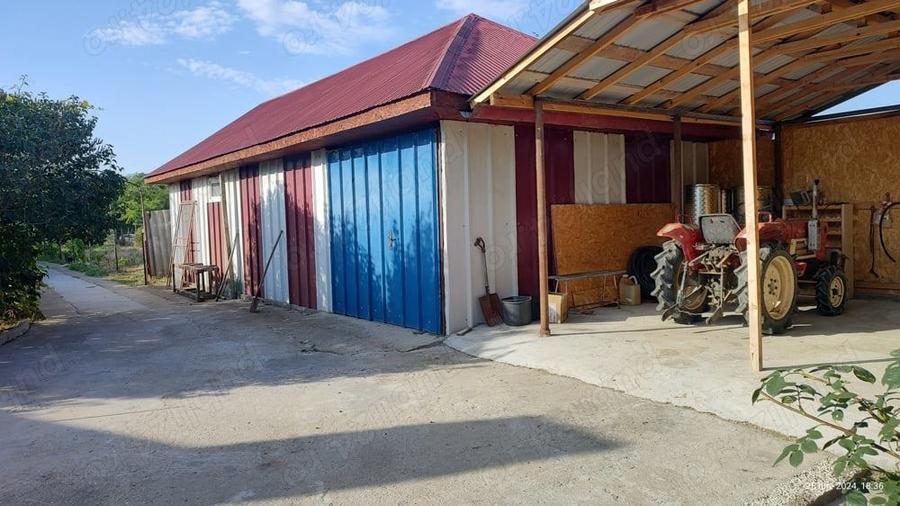 Livada 600pomi de 12 ani,cu casa 2camere,baie ,bucatarie,10000mp - 1