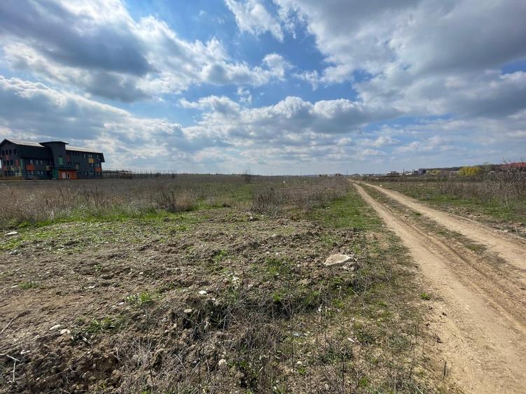 Mogosoaia, parcela teren intravilan, 855 mp, PUZ aprobat - 3