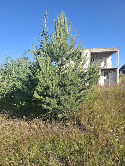 Casă cu Teren 1300 Mp în Măguri
