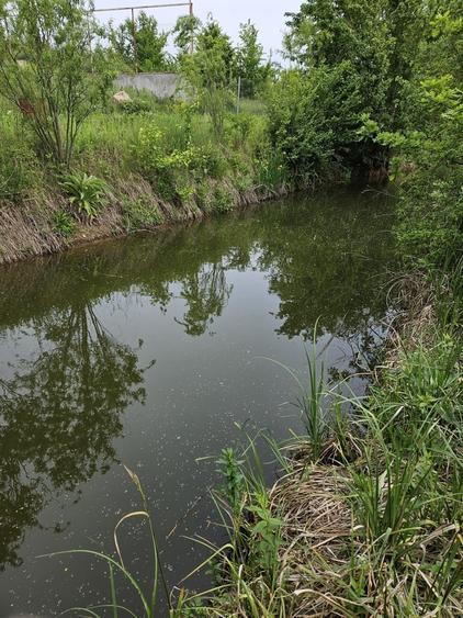 Snagov, Ghermanesti DJ101b - 5