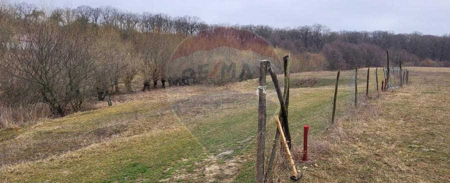 Teren 2925 mp comuna Mitocu Dragomirnei - 17