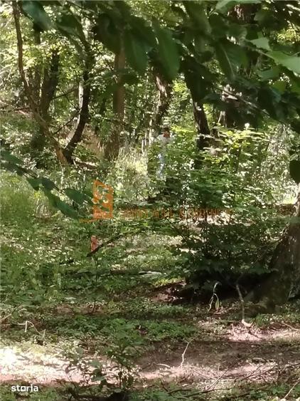 Teren intravilan zona Monteoru - 7