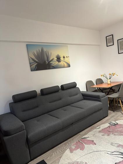 Apartament cu o camera - 8