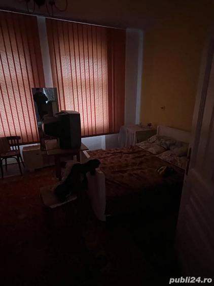 Casa individuala 5 camere 1439mp , curte, mobilata , Sintesti Timis - 2