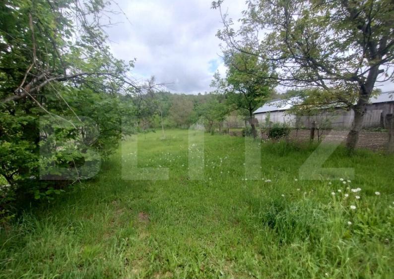 Casa de vanzare in centru, 16,5 ari teren, Nasaud - 4