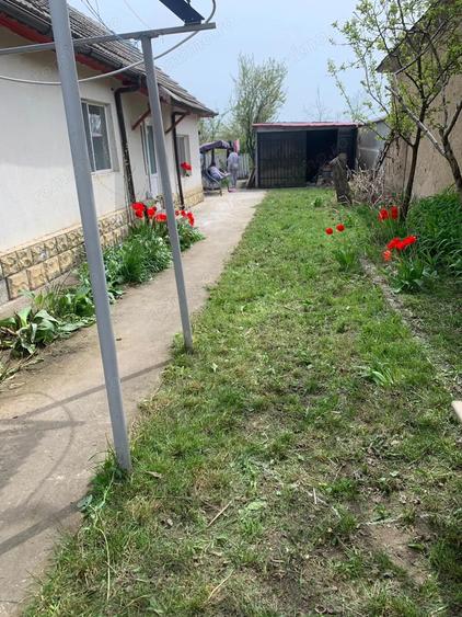 Vand casa Jurilovca - 5