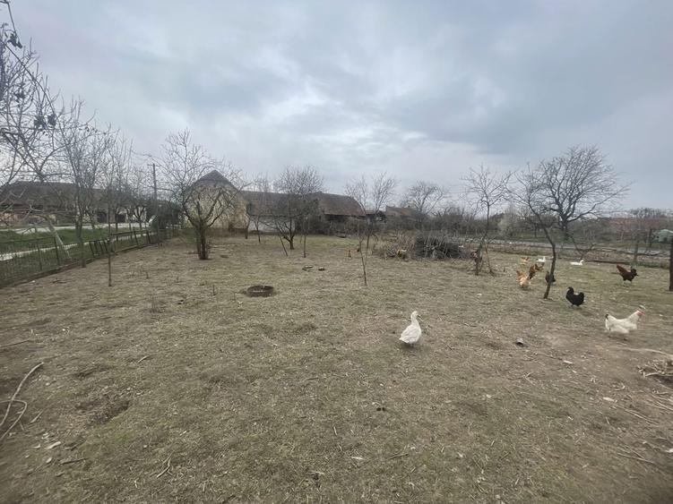 Casa de vanzare la drumul national, 2 pozitii, 2 CF-uri - 2