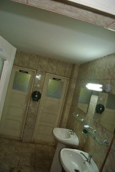 Proprietate Bascov, teren 13.500mp + 2 constructii (36 camere) - 4