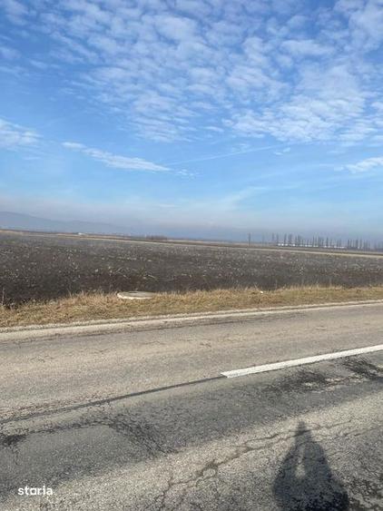 Vand teren agricol Halchiu - 3