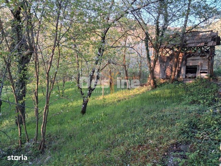 Casa batraneasca cu teren 1150 mp, vie si livada Serbanesti, Paus - 3