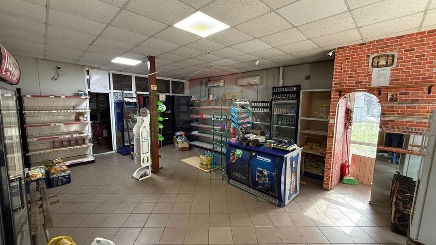 Spațiu comercial Sud - 2