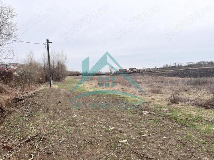 Teren intravilan de vanzare, 2900 mp, in Chinteni! - 6