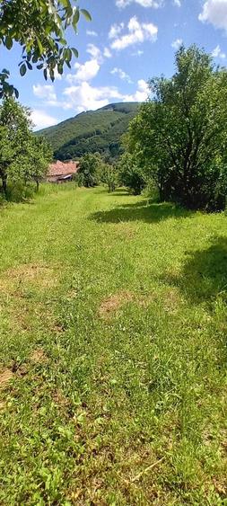 Teren 2700mp in Poiana Galdei - 5