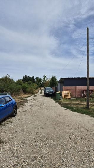 Teren intravilan 1000 mp - Domnesti - 5