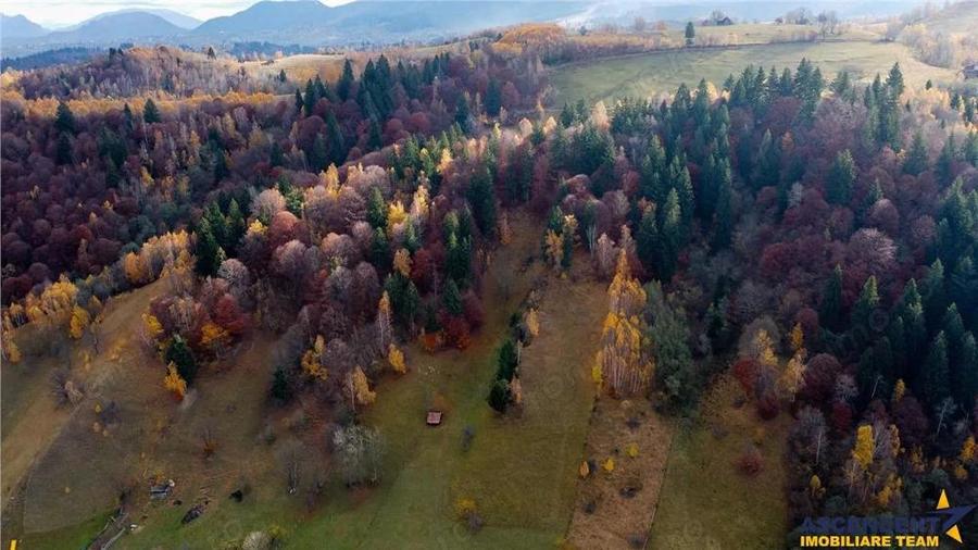 Proprietate autentica, stil traditional:Eco, cu parau pitoresc si vedere spectaculoasa, teren 900 mp - 12