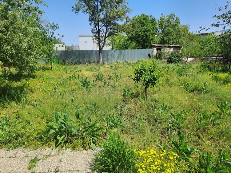 Mogosoaia-Odai, constructie 2013, singur curte, semimobilata, teren 1000 mp - 9