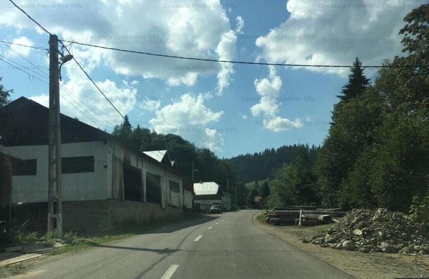 Casa P+E + atelier si anexe, Sadova, jud Suceava - 1