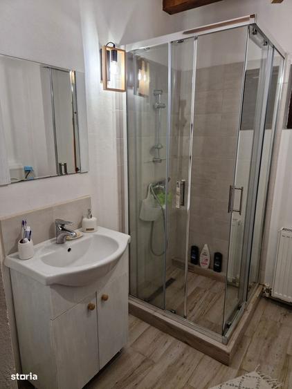 Cabana de vis in inima naturii Valea Bratcutei, jud. Bihor - 7