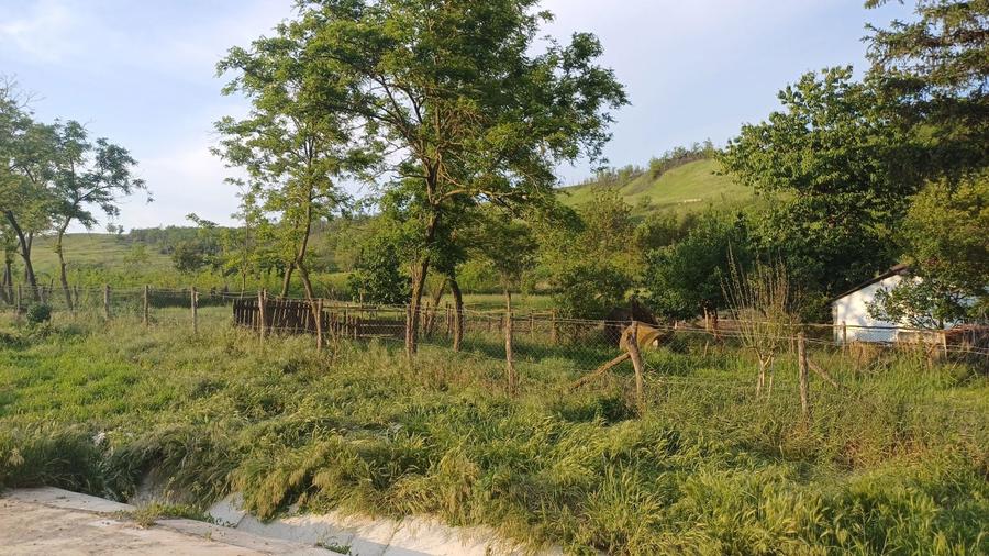 Casa cu teren 1 hectar in sat Roscani, la 40 km de Iasi. - 5