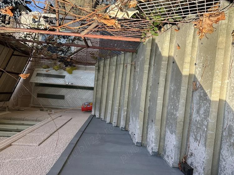 Vand casa taraneasca cu 8000 mp gradina - 9