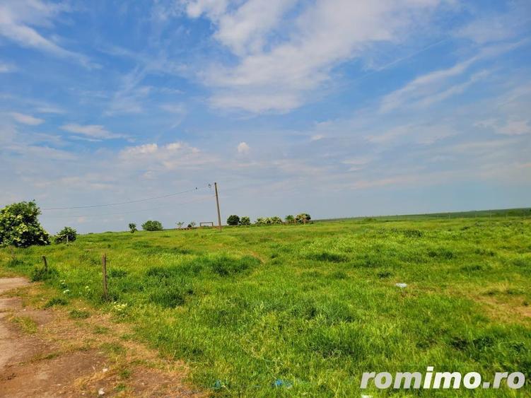 Domeniu, 9,5 ha, 25 KM de Timisoara - 5
