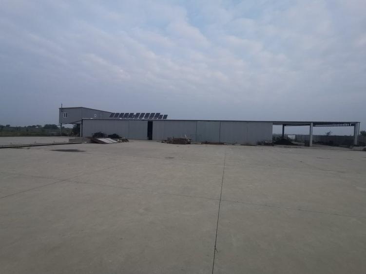 Hala Padureni 300 mp - 4