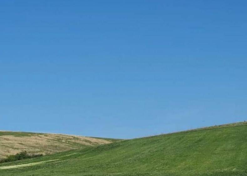 Cota de 1/2 din teren extravilan, comuna Rogova, Jud Mehe... - 4